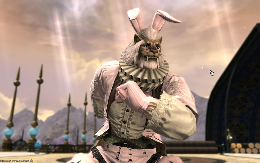 Dolor adipiscing elit